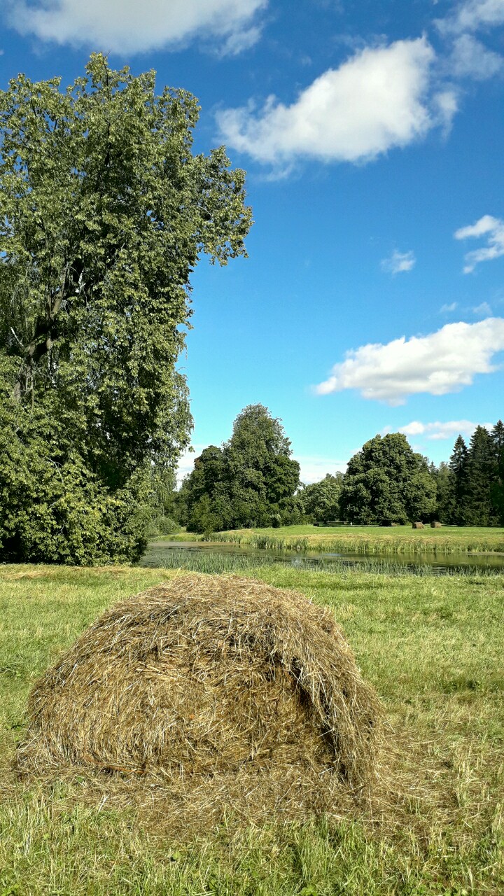 На Успенье Богородицы