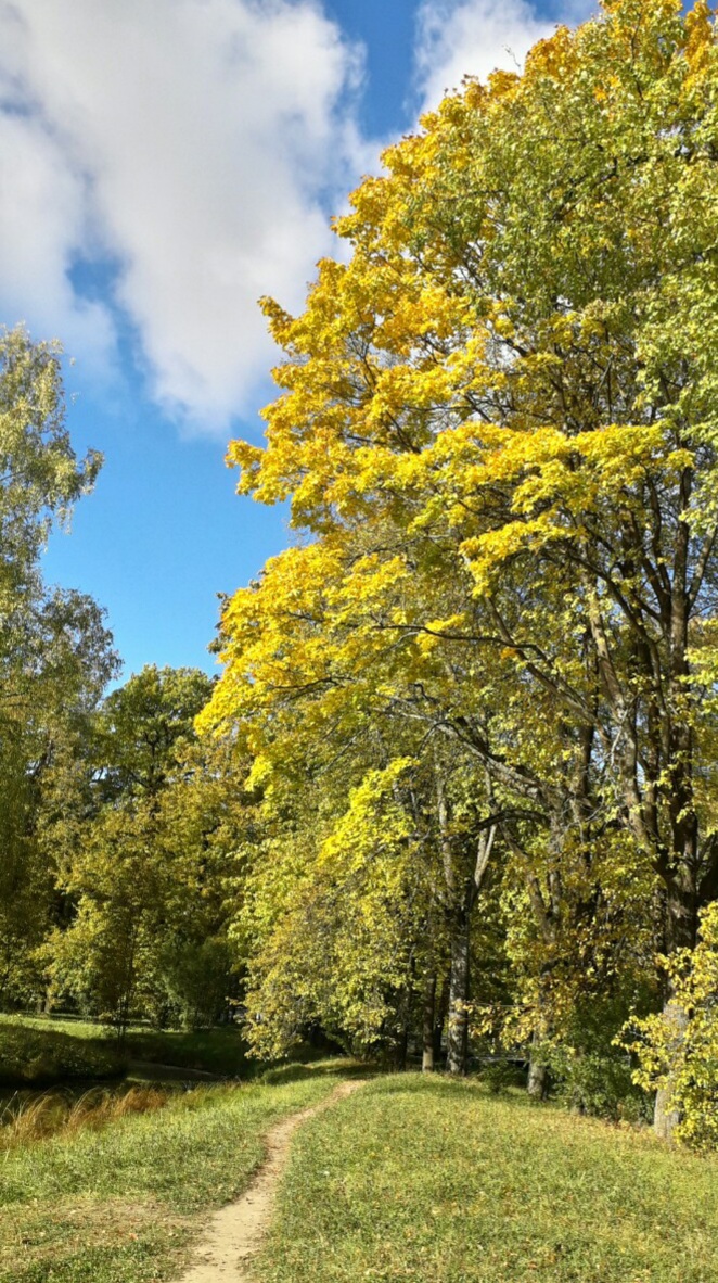 Очарованье красок листопада