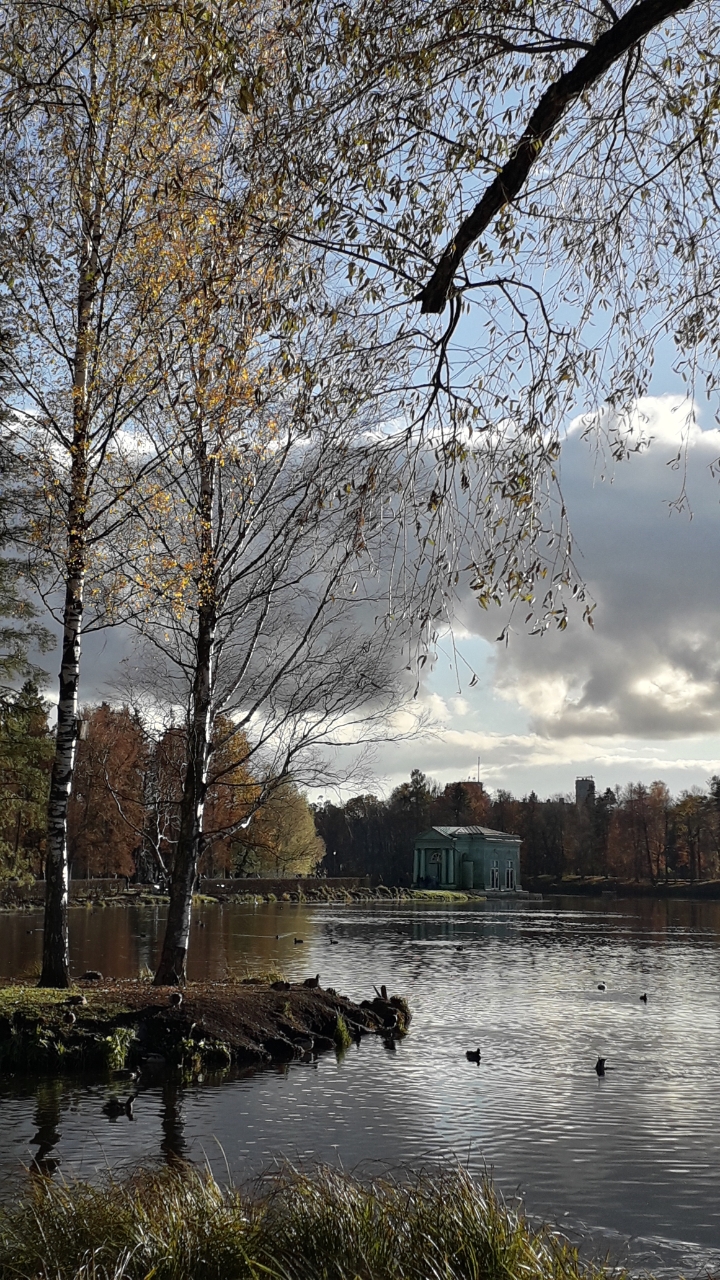 Танцуя лист планирует на землю