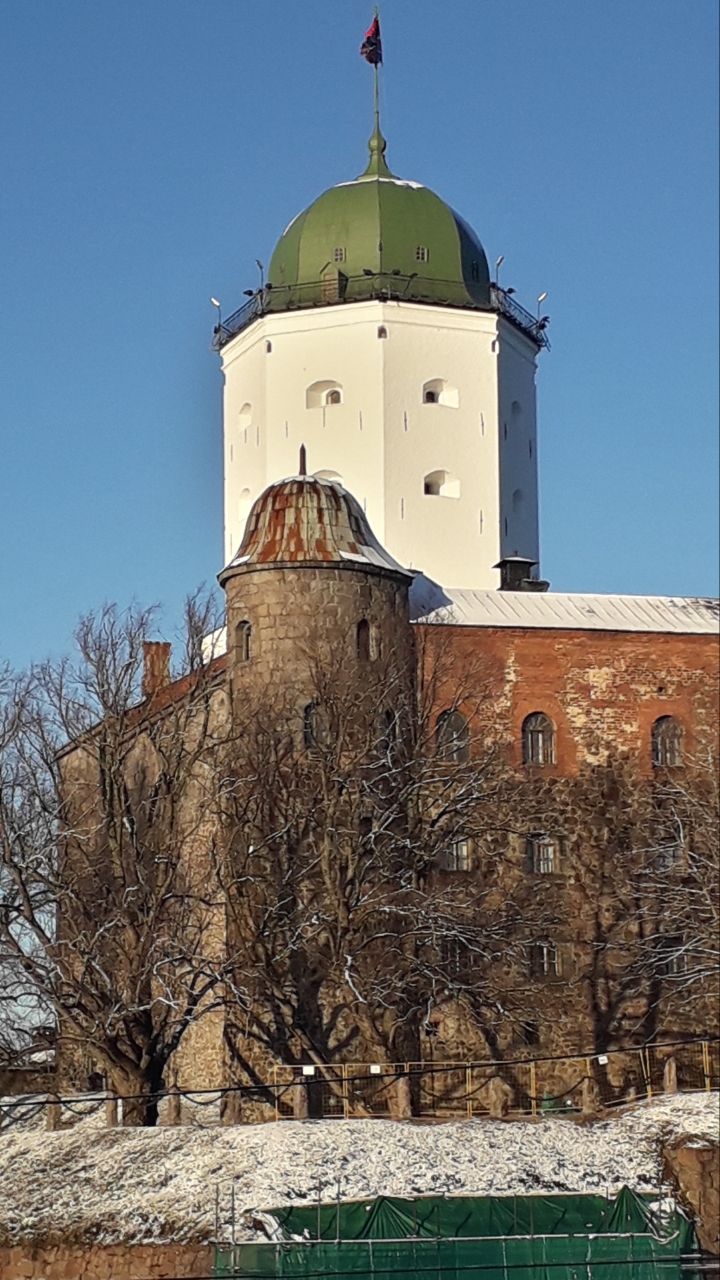 Спят под снежною пудрой руины