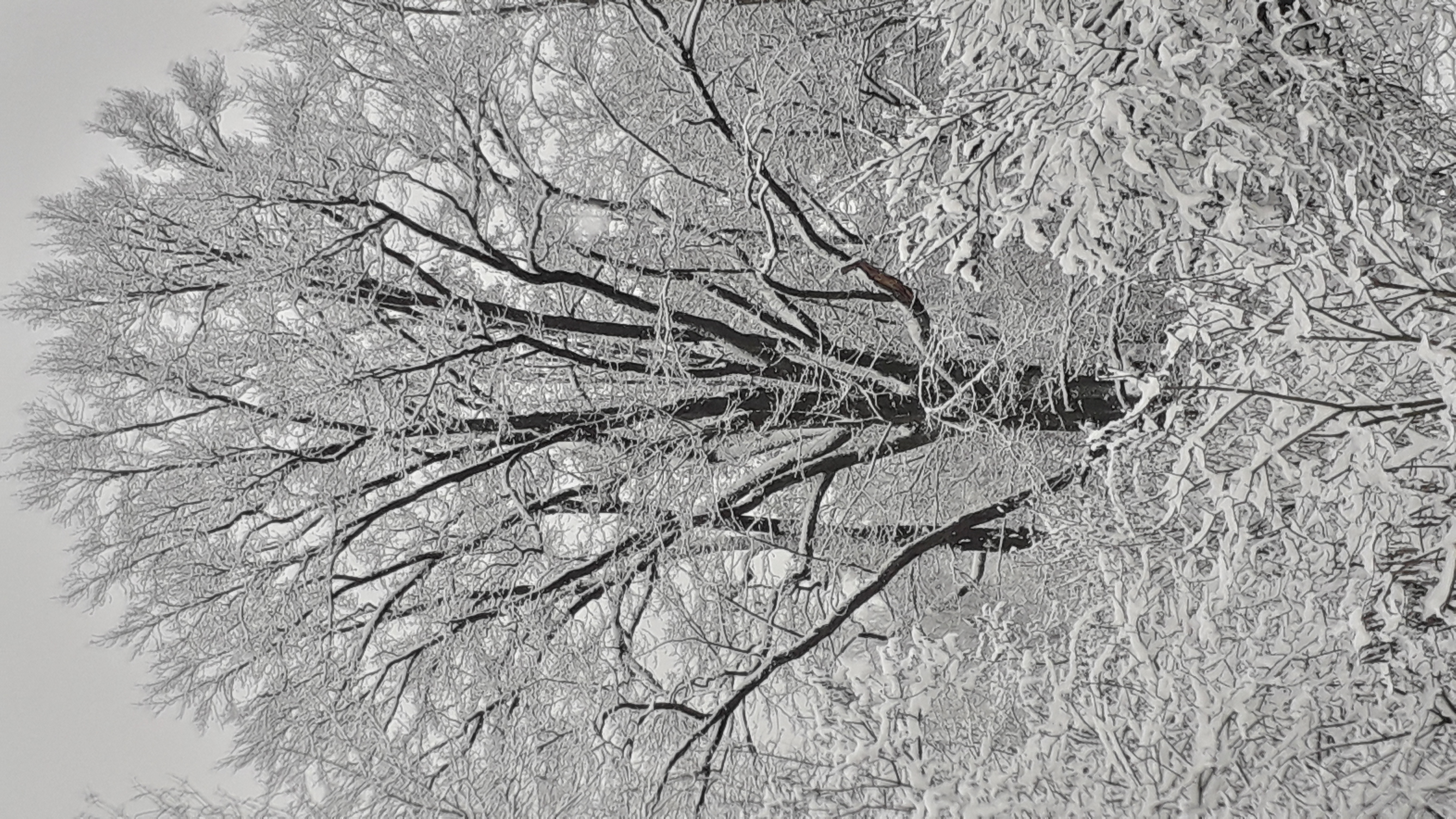 Пролилась всюду сказка несказанно