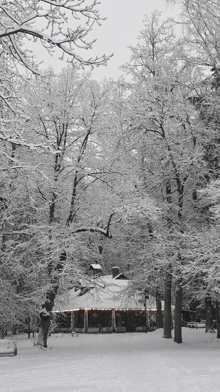 Всё валит снег на церкви и дома