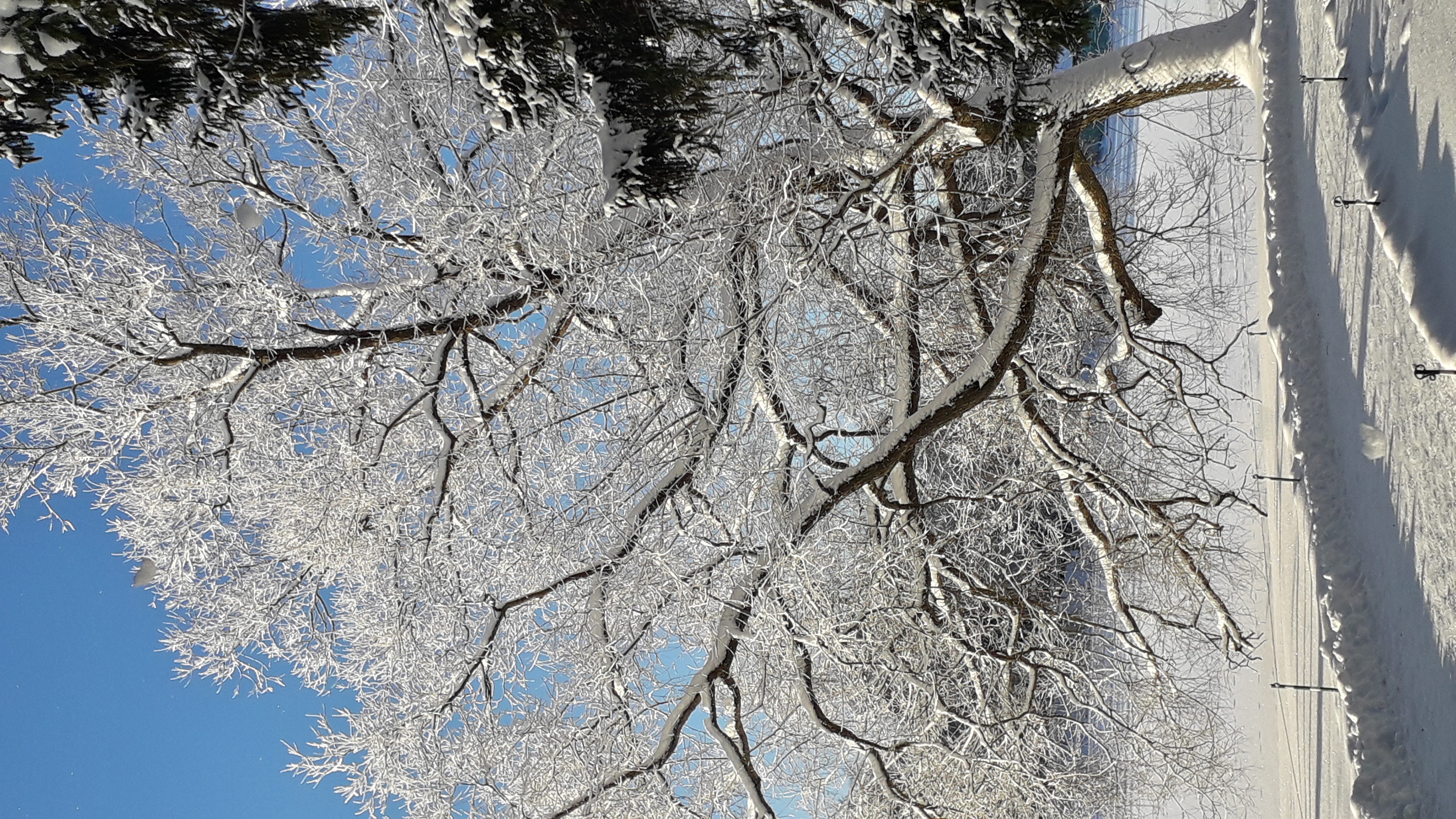 Оттянулся душою и телом