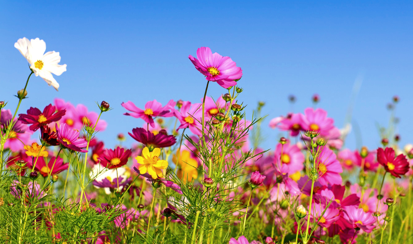 "Нежный рассвет..."