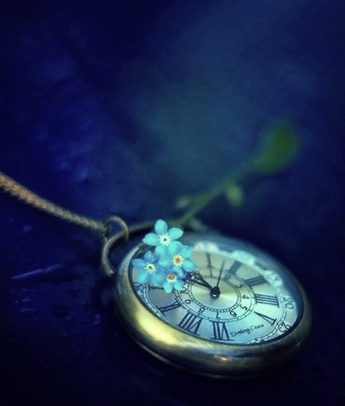 "Накрыл туман пустую даль..."