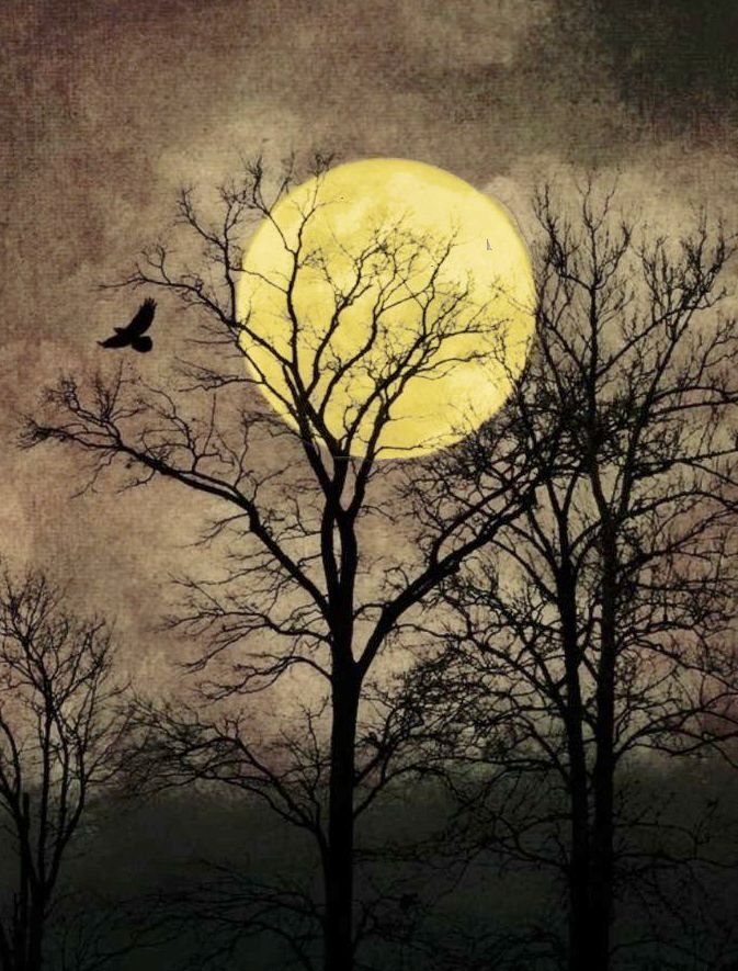 Луна в окне