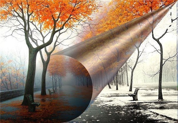 "Яркая осень прощается с нами..."