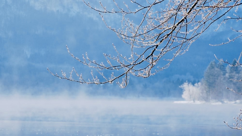"Сегодня солнце было свежим..."