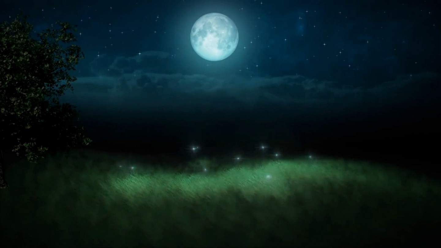 "Я хочу подарить тебе сон..."