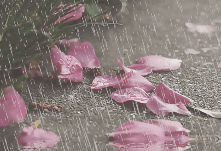 "Вот и всё, эта тема исчерпана..."