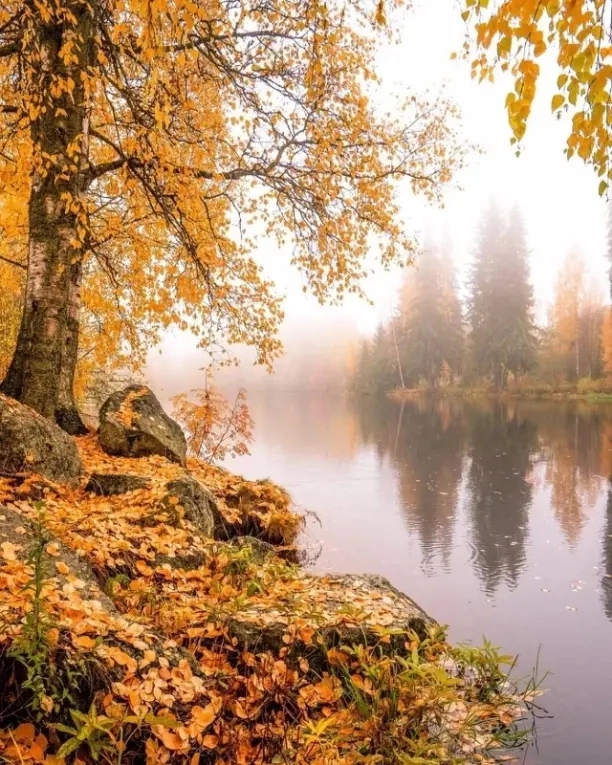 Дар от Осени