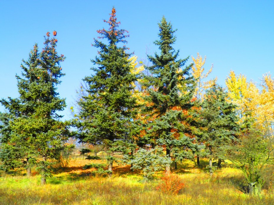 Не теряйте любимых