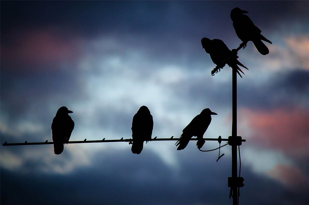 Зимняя скука