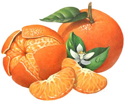 Январь с запахом мандарин