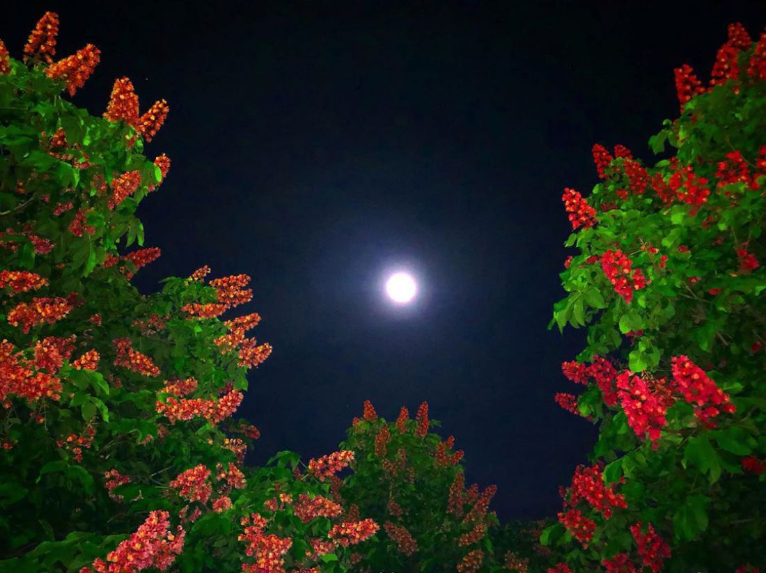 "Ночное свидание"