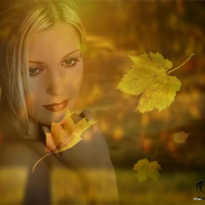 Я давно ничего не жду