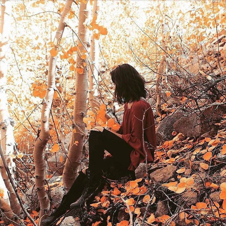 Осень кудри золотит