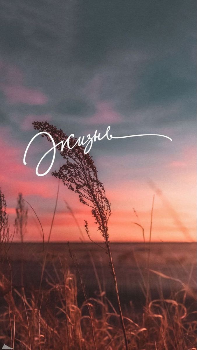 Наша жизнь — она экзамен