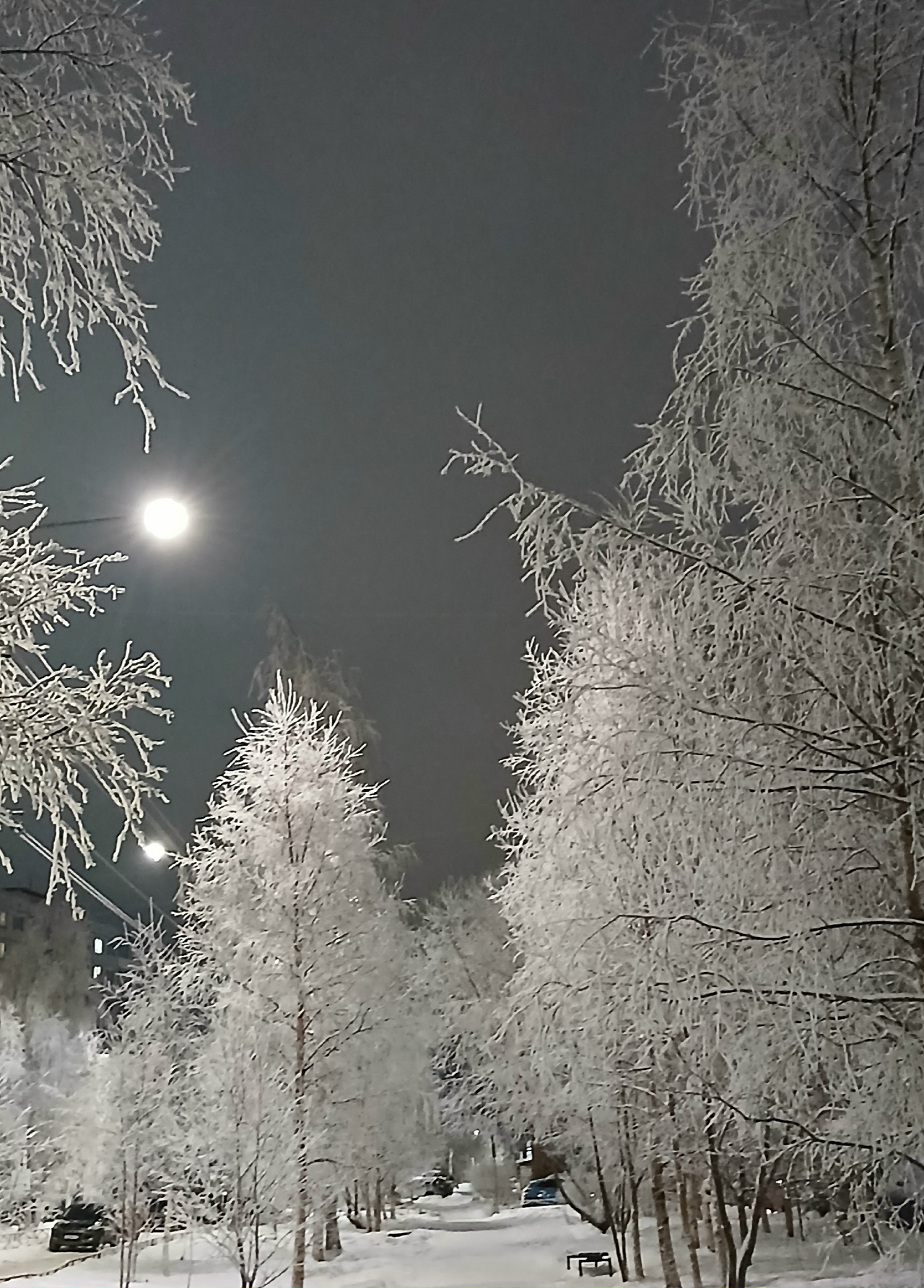 Замело, запорошило...