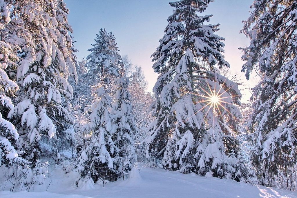 День удивительно красив