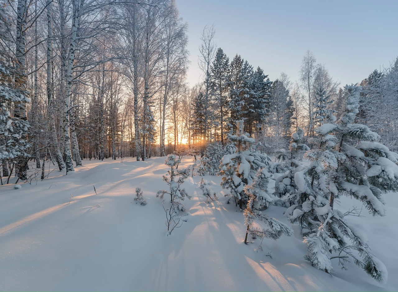 День удивительно красив