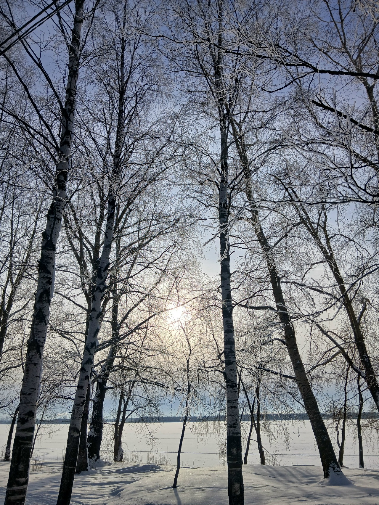 Ещё тревожится февраль