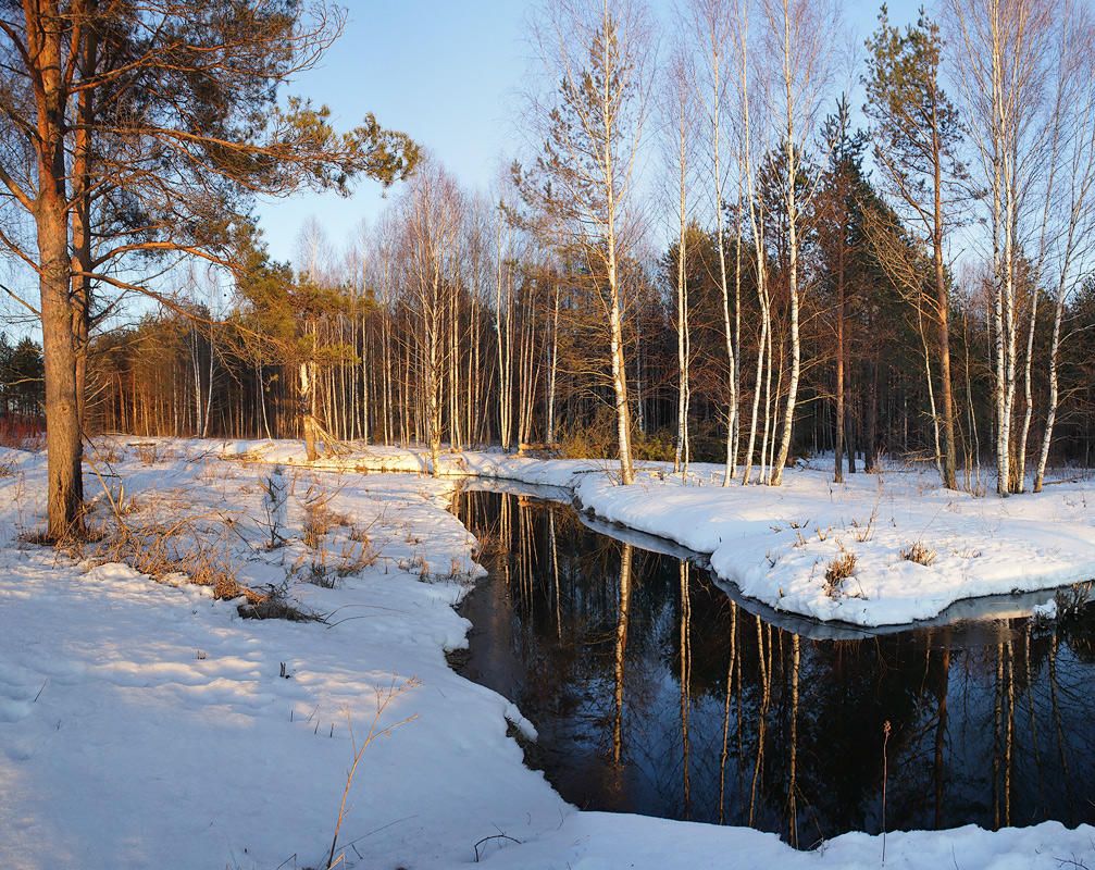 Смеётся снежная весна
