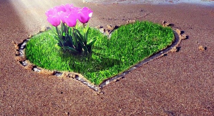 Любовь — единственное чудо 