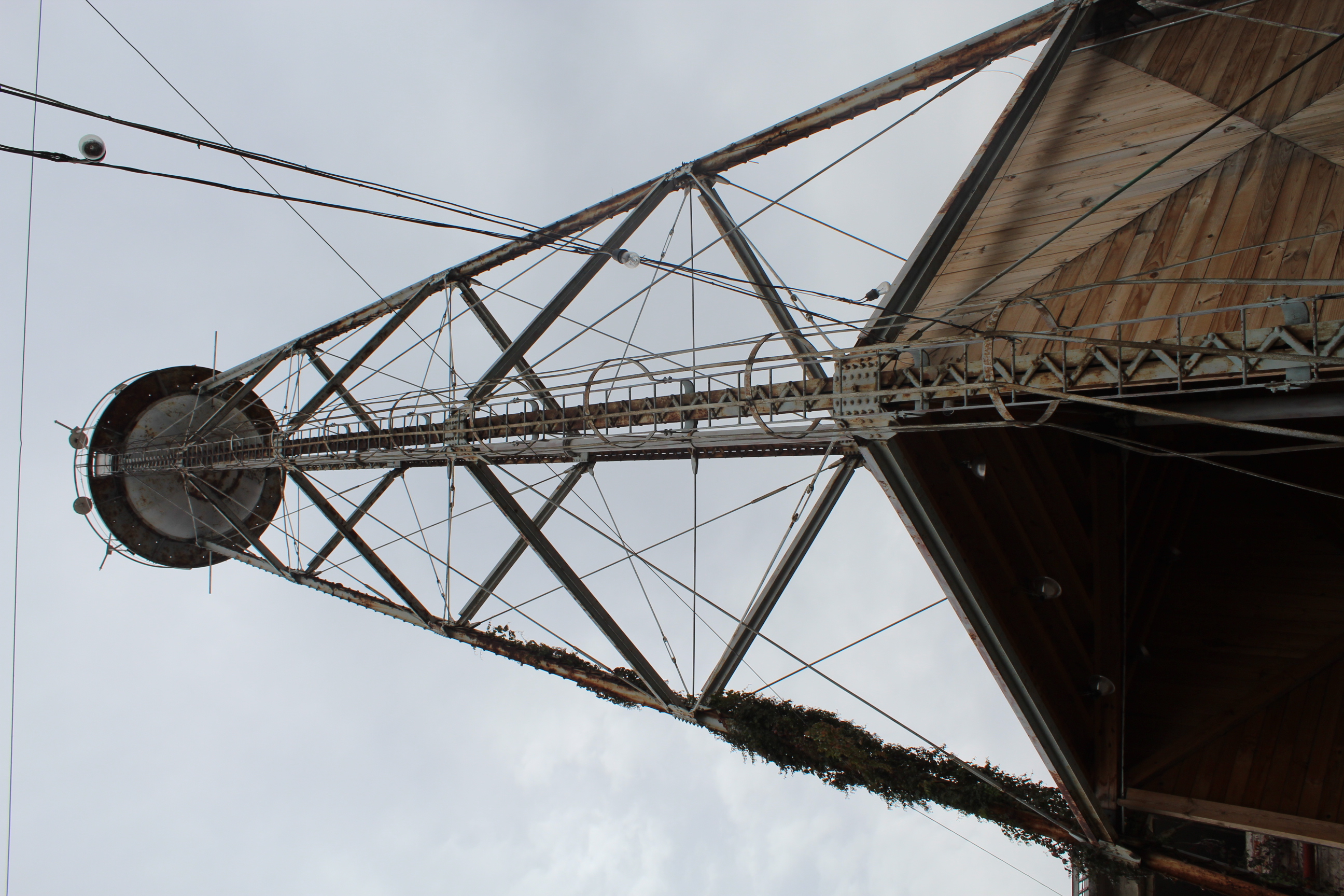 Что-то вроде ностальгии